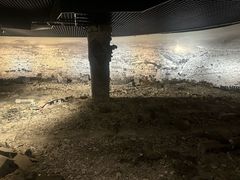 -中国唐山地震博物馆