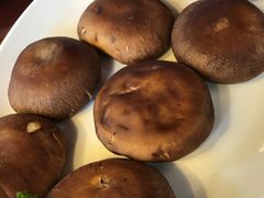 -辛氏火炉·韩式古法烤肉(松北店)