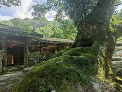 -楠溪江风景名胜区