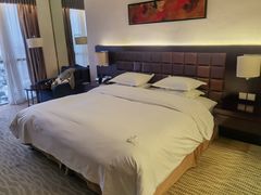 -上海浦东绿地铂骊酒店