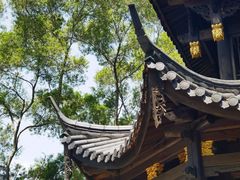 -金鸡山公园