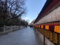 -宗角禄康公园