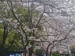 -玛格萝妮比萨屋(四平店)
