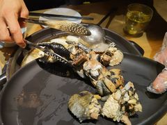 -一朵菌·野生菌探索家火锅(南亚店)