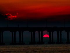 -宝安西湾红树林湿地公园