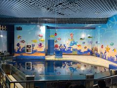 -太平洋海底世界