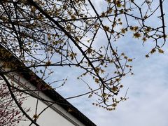 -八大山人梅湖景区