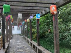 -上海醉白池公园