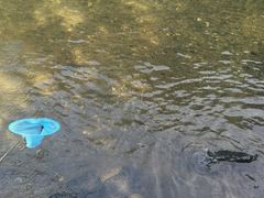 -怪潭漂流
