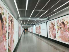 -大望路(地铁站)