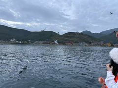 -孔雀湖生态旅游区