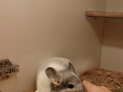 -龙猫仔乐园(惠福东路店)