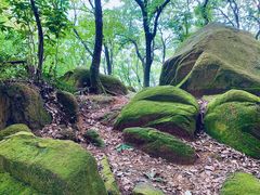 -灵岩山风景区