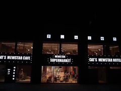 -CAT’S MEWSTAR CAFE·喵星球猫屋(晴湾咖啡店)