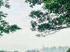 -东莞植物园