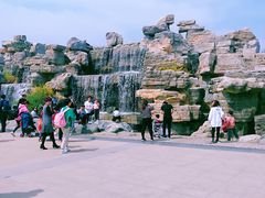 -石家庄市植物园