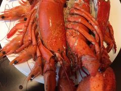 -Social 秀西餐厅-长沙瑞吉酒店(运达店)