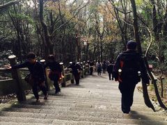 -普陀山风景区-佛顶山