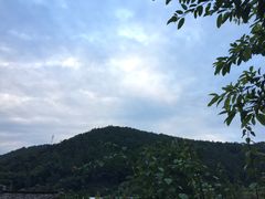 -楠柏弯休闲山庄(梨花溪店)