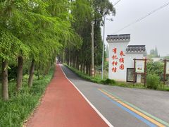 -上海长兴岛郊野公园