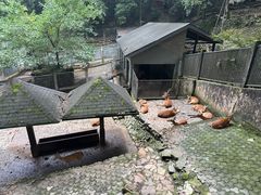 -杭州动物园