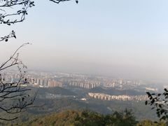 -紫金山山顶公园