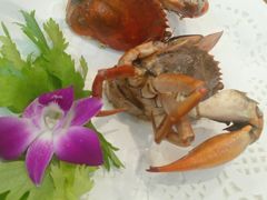 -友强·23年特色海鲜大排档(厦门店)
