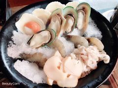 扇贝-丽江庭院之爱在路上(西单店)