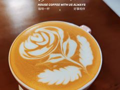 -SAFARI COFFEE