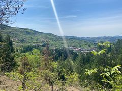 -四门塔风景区
