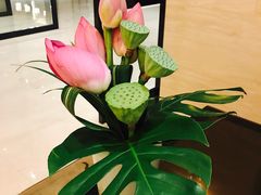 -行者书屋大堂吧 ·下午茶(南京圣和府邸酒店)