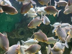 -常州海昌海洋探索馆