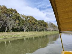 -上海海湾国家森林公园