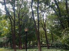 -玲珑塔公园