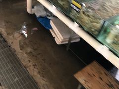 -南戴河海滨市场