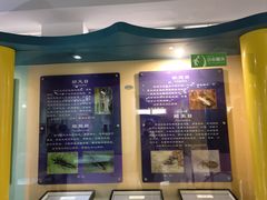-上海昆虫博物馆