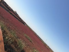 -红海滩国家风景廊道