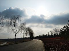 -洨河生态公园