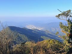 -江西阳明山国家森林公园