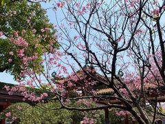 -宝墨园景区