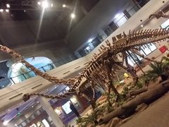 -自贡恐龙博物馆