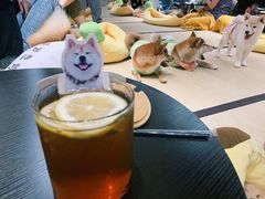 -逗柴咖啡屋·狗咖猫咖宠物桌游