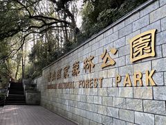 -潜山国家森林公园