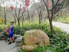 -广州市帽峰山景区