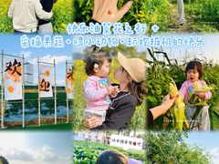 -光明小镇欢乐田园