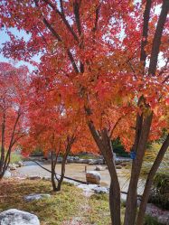 -大望京儿童游乐场