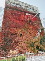 -Oasis Beauty水磨坊科技美肤中心