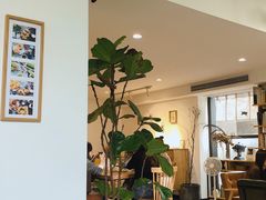 大堂-猫里有甜