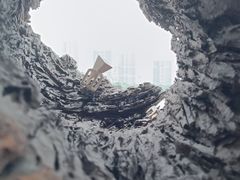 -上海当代艺术博物馆