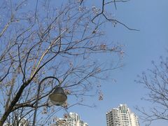 -苏州河梦清园环保主题公园